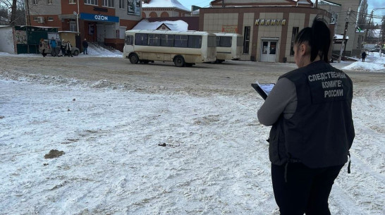 Следователи разберутся в нападении собаки на девочку под Воронежем