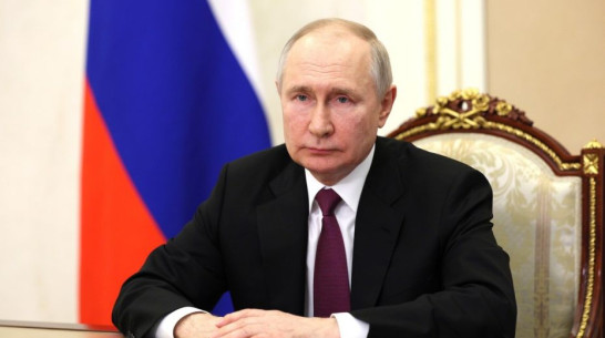 Президент России Владимир Путин назначил 3 судей в Воронежской области