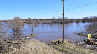 В Грибановском районе уровень воды в реке Ворона повысился на 2 м