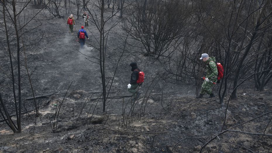 Взрывной рост температуры повлиял на пожароопасность в Воронежской области