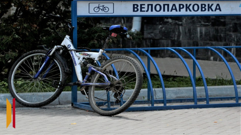 Пожилой воронежец угнал велосипед у 70-летней пенсионерки и уехал на нем домой