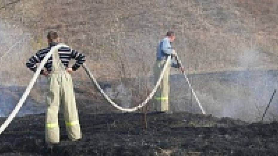 В Верхнемамонском районе количество ландшафтных пожаров за год увеличилось в 10 раз