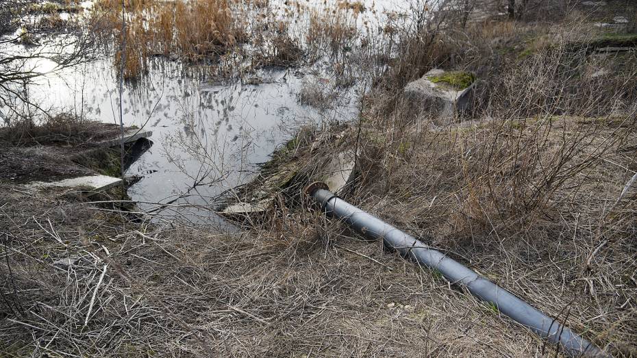 Воронежский департамент экологии нашел нарушения в работе отрадненских очистных сооружений