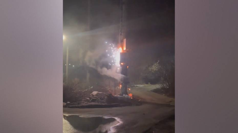 В Воронеже задержали мужчину и женщину, подозреваемых в серии поджогов на вышках связи