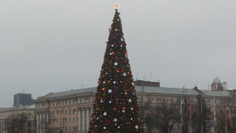 Главная елка Воронежа откроется 31 декабря