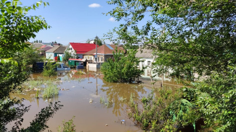 На левом берегу Воронежа вода затопила 5 частных домов и 12 участков