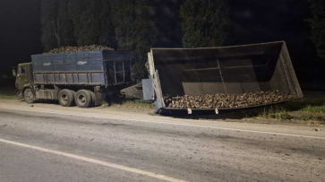 В Воронежской области легковушка врезалась в дорожный знак из-за сахарной свеклы на дороге