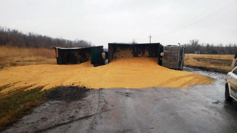 В Таловском районе перевернулся «КамАЗ» с зерном