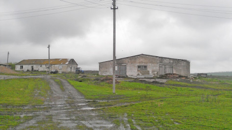 В Семилукском районе имущество муниципальной фермы продадут с аукциона