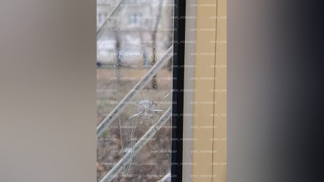 В Воронеже на улице Южно-Моравской неизвестный обстрелял окна многоэтажки