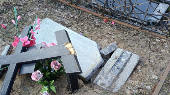 Воронежцы сообщили о возможном акте вандализма на кладбище