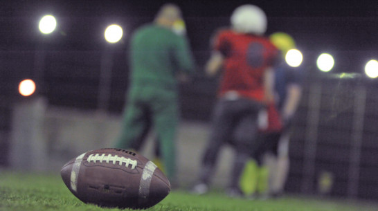 Воронежские «Могучие утки» проиграли «Скифам» из Донецка