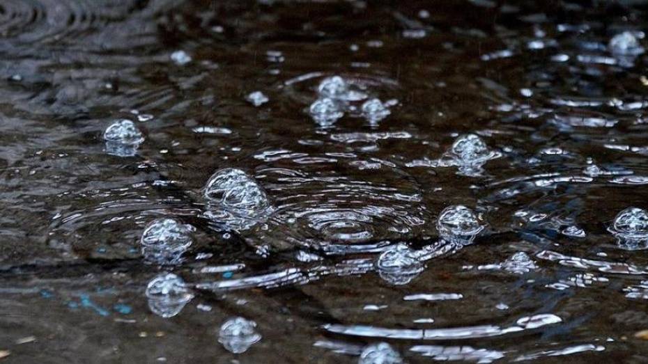 Синоптики спрогнозировали дожди с грозами и похолодание на рабочей неделе в Воронеже