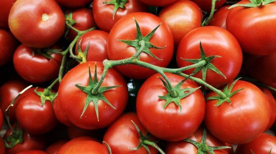 Воронежских производителей органической продукции поддержат субсидиями