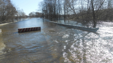 В Рамонском районе из-за паводка затопило 2 низководных моста