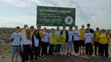 В Воронежской области высадили более 130 тыс саженцев лесных и плодовых деревьев в рамках акции «Сад памяти»