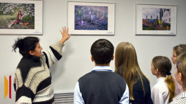 В Калаче местные фотографы показали свои лучшие работы за год