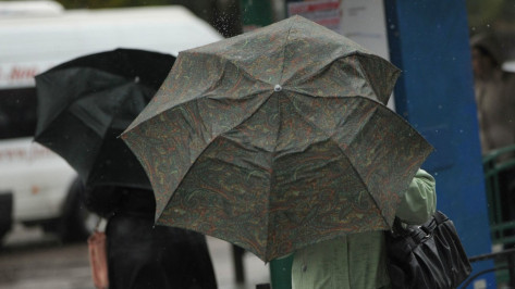 Спасатели предупредили о шквалистом ветре в Воронежской области