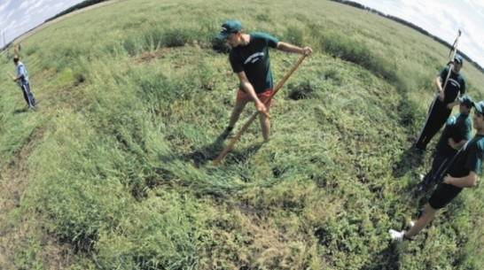 Воронежская область потратит до 3,8 млн на организацию Летних сельских спортивных игр