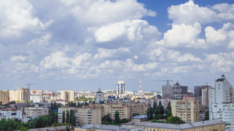 В Воронежской области определили 5 перспективных направлений для инвестиций