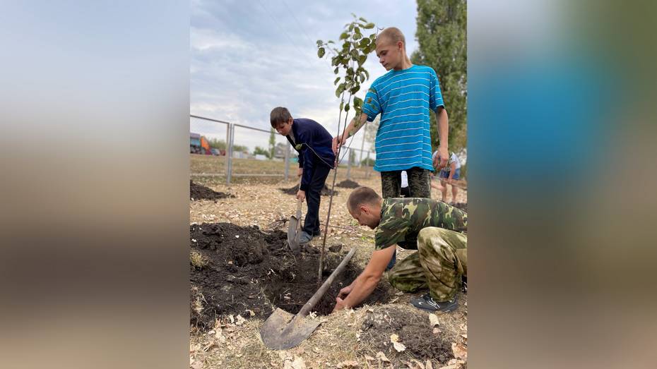 В Россошанском районе школьники вместе с участниками СВО посадили яблоневый сад