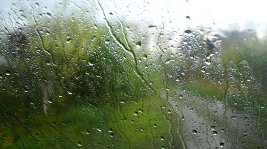 Циклон даст воронежцам сырые выходные