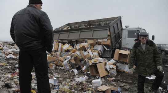 В Воронеже начали разработку территориальной схемы по обращению с отходами