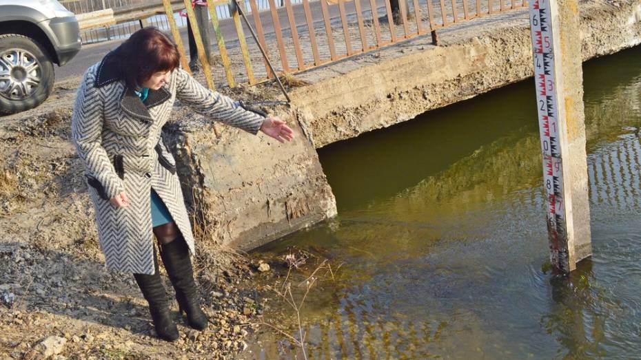 Под Рамонью уровень воды в реке Воронеж поднялся до 80 см