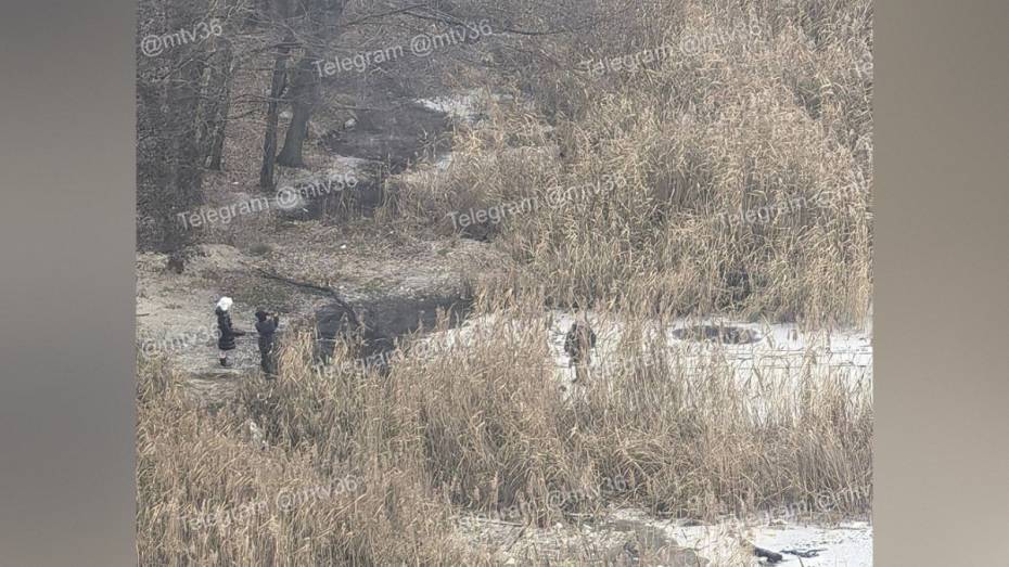 На Воронежском водохранилище дети ходят по тонкому льду