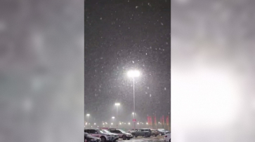 Первый снег в Воронеже сняли на видео