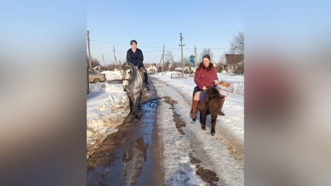 Члены УИК отправились к избирателям верхом на лошадях в Воронежской области: видео