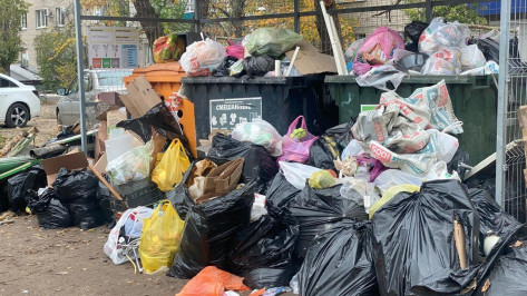 В Павловском районе Воронежской области возникли проблемы с вывозом мусора