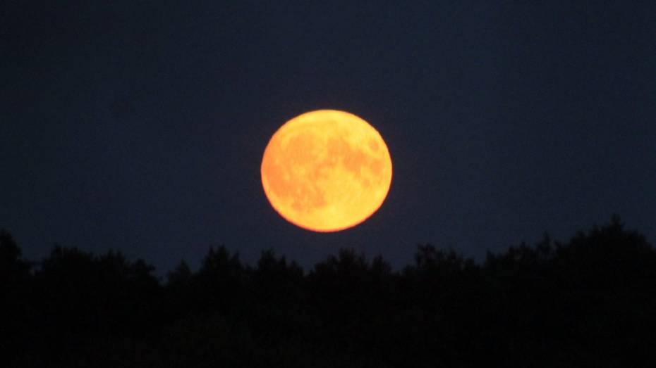 Воронежцы смогут увидеть «Бобровую Луну»