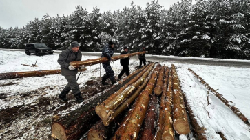 Грибановцы заготовили более 36 кубометров леса для отправки в зону СВО