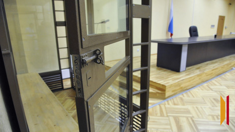 Перед судом предстанет 21-летний воронежец, готовивший теракт на электроподстанции