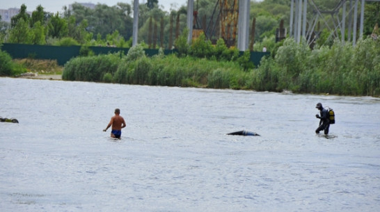 В Воронеже только два пляжа полностью оборудованы для купания