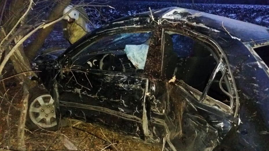 Водитель иномарки погиб при обгоне в Воронежской области
