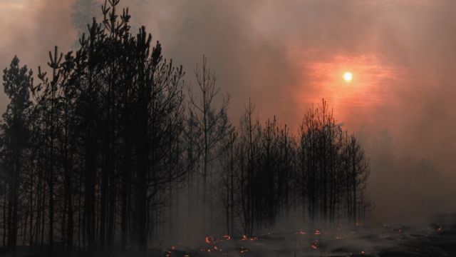 Спасатели локализовали пожары у 2 воронежских поселков