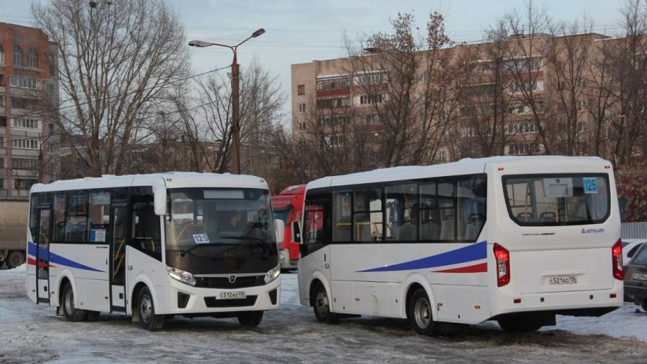 В Воронеже на маршруте №125 микроавтобусы заменят на «ПАЗы»