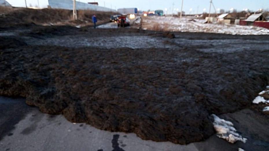 В Воронежской области навоз из сточной ямы сельхозпредприятия затопил сельскую улицу