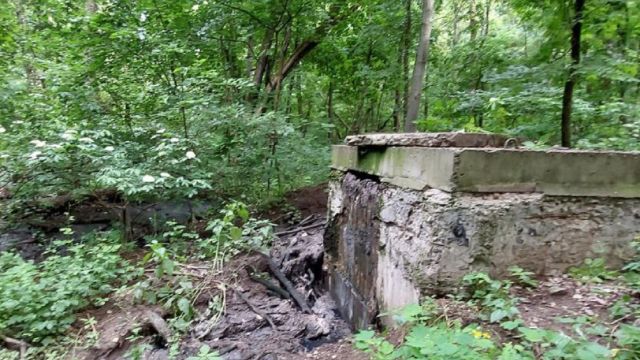 На территории Воронежской нагорной дубравы вновь слили сточные воды