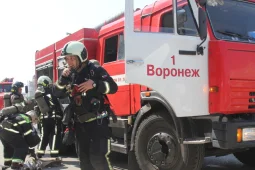 Более 50 пожарных задействовали в учениях на территории торгового комплекса в Воронеже