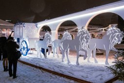 Появился план празднования Нового года и Рождества в Воронеже