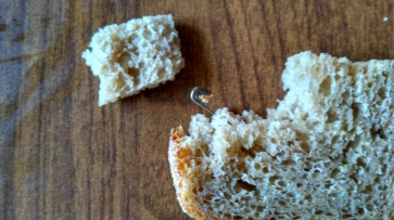 Под Воронежем 11-летний мальчик нашел в хлебе булавку