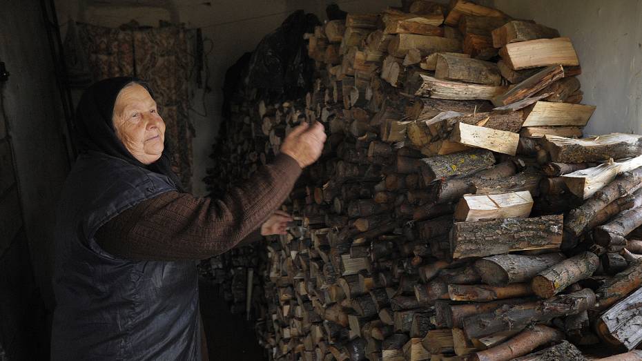 В Воронежской области родственникам мобилизованных помогут с заготовкой дров на зиму
