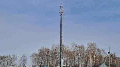 Цифровизация глубинки: связь Tele2 появилась в удаленных хуторах и селах Воронежской области