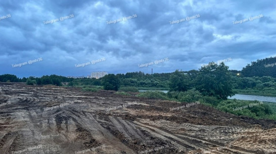 Воронежцев обеспокоили земляные работы у озера Большое