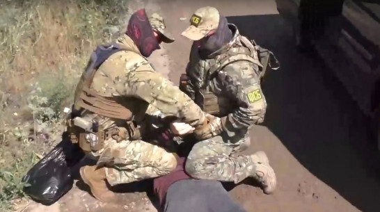 Задержание агента ВСУ в Воронеже показали на видео