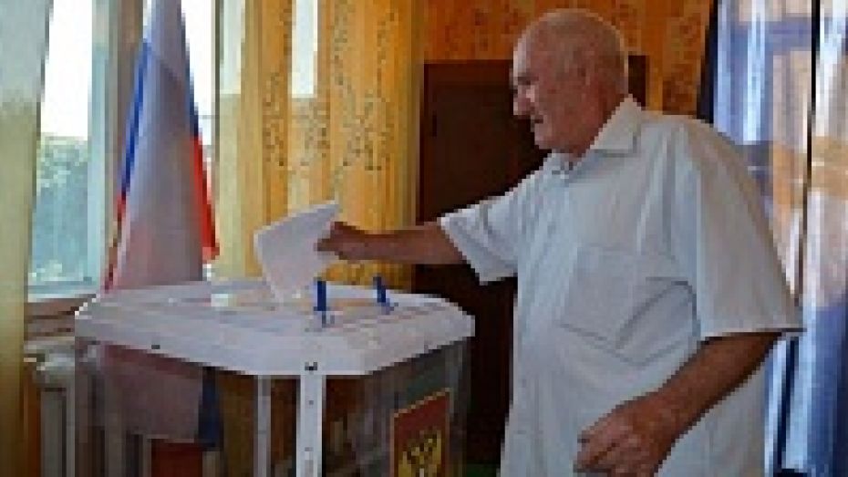 В Нижнедевицком районе за Алексея Гордеева отдали свои голоса 94,99% избирателей