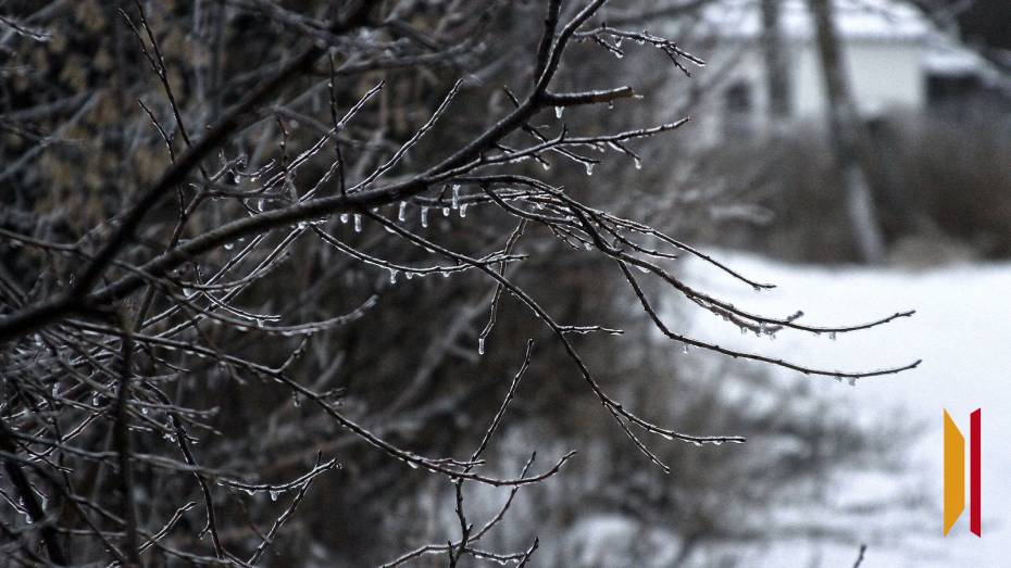 На рабочей неделе воронежцев после сильных морозов ждет оттепель